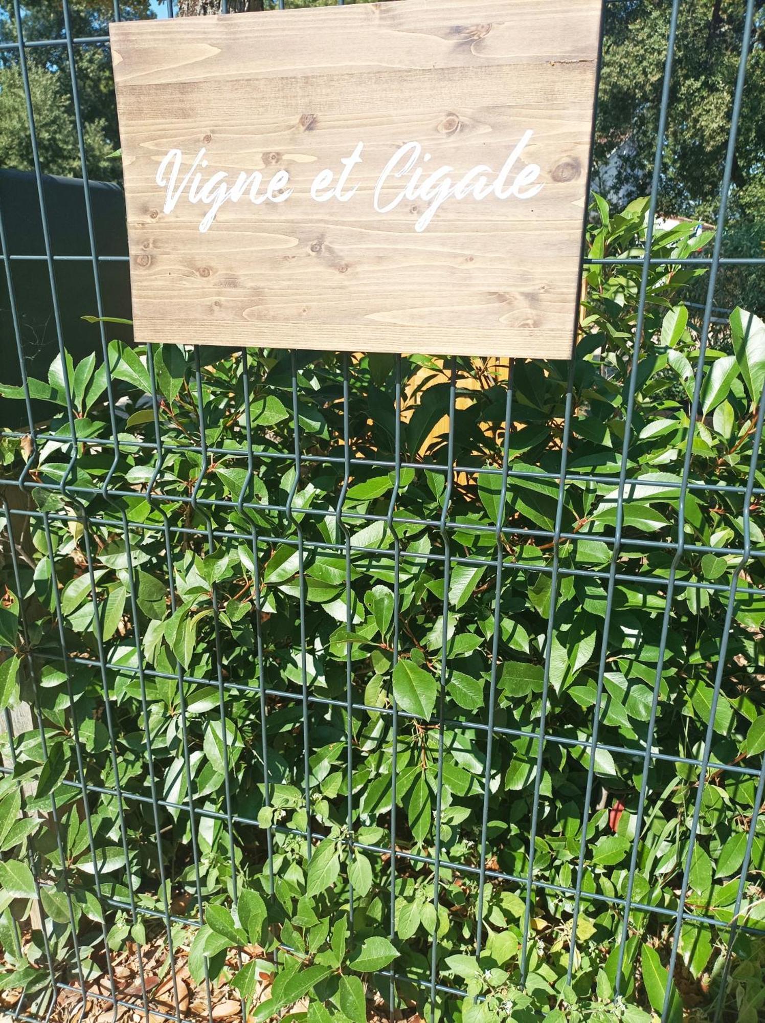 Vigne Et Cigale Apartment เลอ โตโรเนต์ ภายนอก รูปภาพ